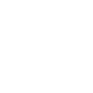 icoon container